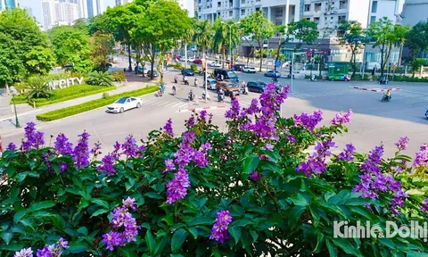 Bản tin thời tiết ngày 15-5-2023: Hà Nội nhiều mây, mát mẻ ngày đầu tuần