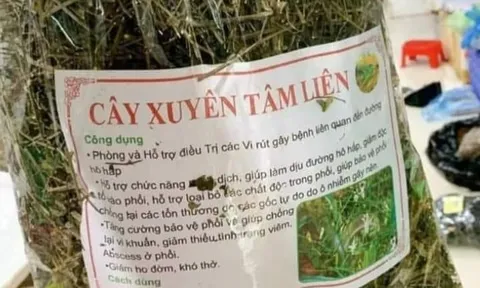 Dịch Covid-19 diễn biến mới, các mặt hàng này lại tiếp tục “ăn khách”