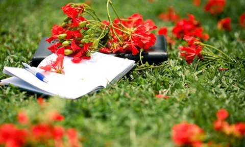 Bản tin thời tiết ngày 19-5-2023: Nắng nóng ở miền Bắc suy giảm