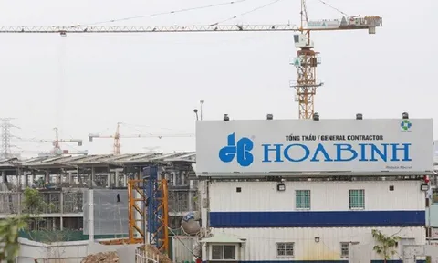 Cổ phiếu HBC tăng trần, lộ diện 2 nhà đầu tư mua lượng cổ phiếu tương đương ông Lê Viết Hải