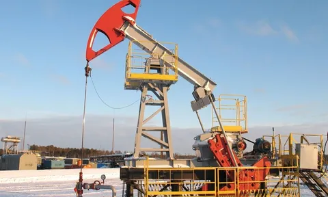 Giá dầu hôm nay: Đột ngột giảm