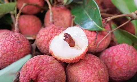 Vải thiều Hải Dương lần đầu lên sàn TMĐT: Giá 150.000 đồng/kg, giao tới tay khách trong vòng 4h, mở bán 1 ngày đã hết hàng