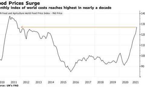 Giá lương thực toàn cầu lên mức cao nhất trong một thập kỷ