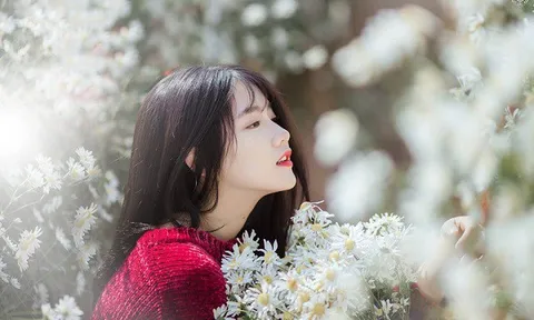 Bạn có đang lãng phí tuổi thanh xuân?