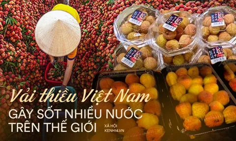 Vải thiều Việt Nam được nhiều quốc gia 'mê tít': Xuất khẩu hàng nghìn tấn, giá bán có thể lên tới 550k/kg