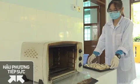 Những 'startup' trẻ sáng tạo ý tưởng làm khẩu trang từ bã mía