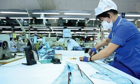 Nhiều doanh nghiệp vừa và nhỏ kiến nghị Chính phủ hỗ trợ vượt qua đại dịch