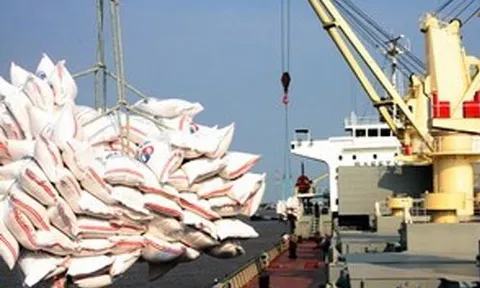 Gạo Thái Lan xuống thấp nhất 1,5 năm liệu có làm khó xuất khẩu gạo Việt Nam?