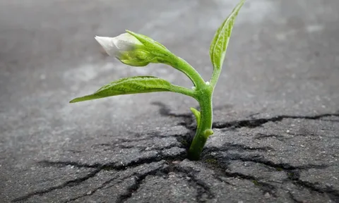 Cơ hội đầu tư cổ phiếu từ những doanh nghiệp tăng trưởng lợi nhuận khả quan trong quý 3