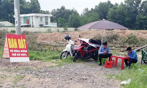 Kiến nghị cấm cá nhân môi giới bất động sản độc lập: 'Cò mồi' sắp hết thời chụp giật, trốn thuế, thổi giá gây sốt đất?