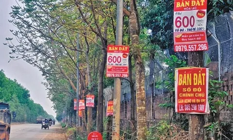 Lo ngại 'sốt đất' quay trở lại