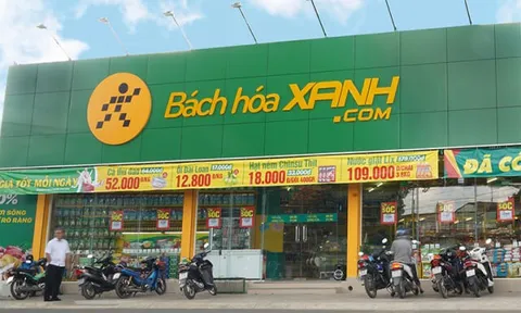 Ai sẽ dẫn dắt Bách Hóa Xanh khi chuỗi này đang gặp khó về tăng trưởng?