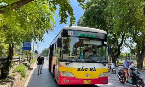 Hà Nội cho phép chỉ định thầu thay thế loạt tuyến buýt của Bắc Hà