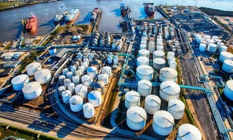 Giá xăng dầu hôm nay 8/8: Đồng loạt lao dốc mạnh phiên đầu tuần