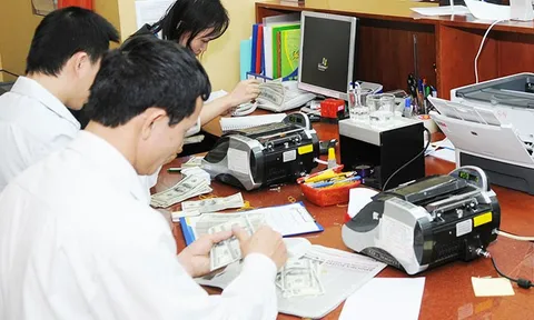 Tỷ giá USD hôm nay 8/8: Duy trì đà tăng