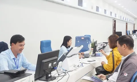 Hà Nội phê duyệt 13 quy trình giải quyết thủ tục hành chính trong lĩnh vực môi trường