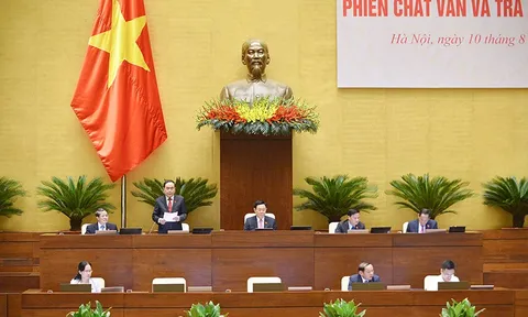 Bộ trưởng bộ Văn hóa, Thể thao và Du lịch Nguyễn Văn Hùng trả lời chất vấn