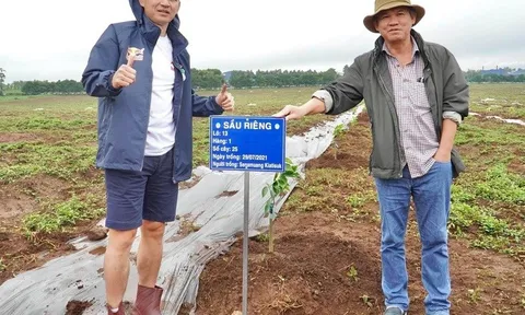 Đại gia tuần qua: “Con cưng” của bầu Đức đang nợ ngân hàng bao nhiêu?