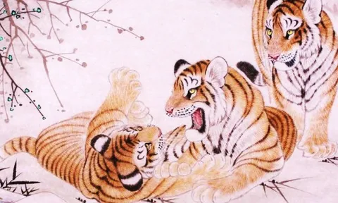 Tử vi tuần mới 15/8-21/8: Dậu hoan hỷ đón lộc về, Mão cẩn trọng kẻo mất tiền