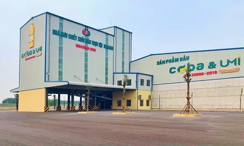 Loạt doanh nghiệp dù kinh doanh thua lỗ nhưng giá cổ phiếu vẫn tăng bằng lần