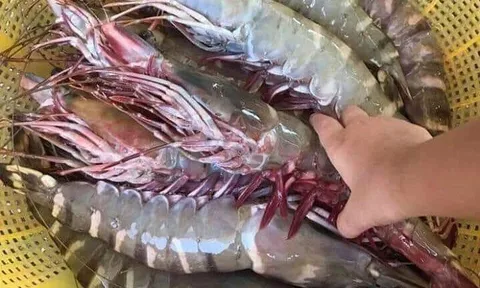 Nóng tuần qua: Giá xăng dầu sẽ tiếp tục giảm hay tăng?