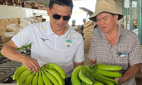 Tài sản tăng hơn 1.800 tỷ đồng, bầu Đức đang nắm giữ bao nhiêu tiền?