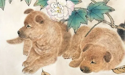 Tuần mới 29/8-4/9, 3 con giáp này may mắn gõ cửa nhà, đón tin vui tới tấp