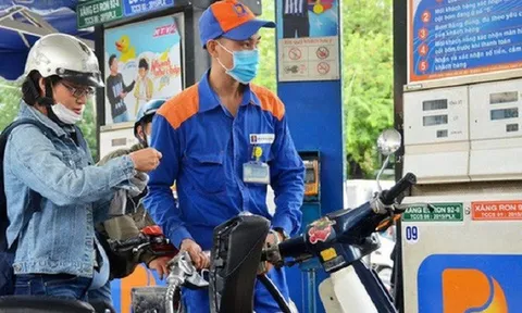 Vì sao 5 doanh nghiệp đầu mối xăng dầu thoát án phạt tước giấy phép kinh doanh?