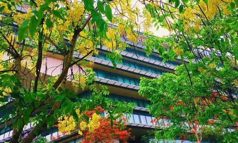 Bản tin thời tiết ngày 27-6-2023: Vùng hội tụ gió trên cao suy yếu, phía Đông Bắc Bộ giảm mưa.