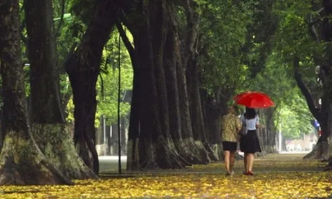 Dự báo thời tiết ngày 19-8-2023: Hà Nội nhiều mây, mưa to ngày cuối tuần