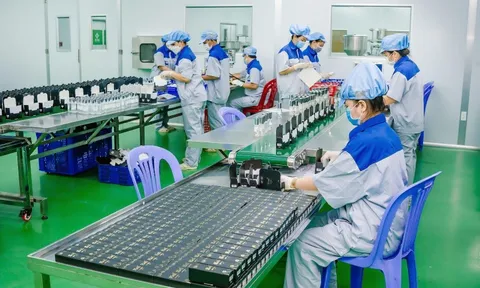 Thương hiệu Việt từng bước khẳng định mình trong ngành công nghiệp thú cưng