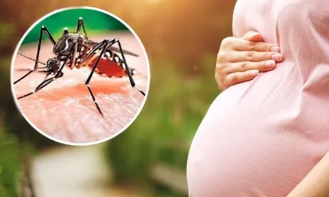 Sốt xuất huyết khi mang thai nguy hiểm như thế nào?