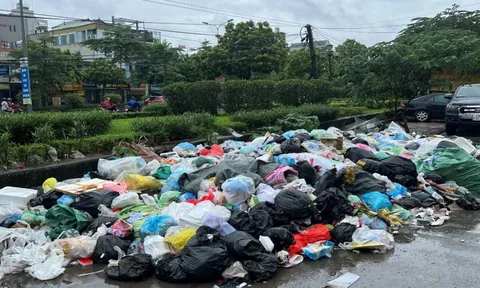 Bãi rác tự phát trước cổng chung cư THT Newcity bao giờ được dẹp bỏ? (bài 2)