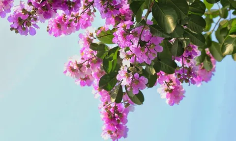 Dự báo thời tiết ngày 14/5/2024: Bắc Bộ ngày nắng, đêm mưa
