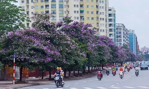 Dự báo thời tiết ngày 15/5/2024: Bắc Bộ sáng nắng, chiều tối mưa to