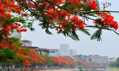 Dự báo thời tiết ngày 22/5/2024: Bắc Bộ ngày nắng, chiều tối mưa rào