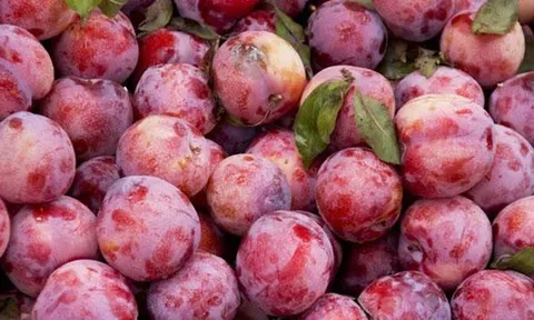 Những ai không nên ăn quả mận?