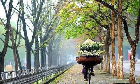 Dự báo thời tiết ngày 31/5/2024: Bắc Bộ mưa rào và dông rải rác