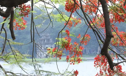 Dự báo thời tiết ngày 3/6/2024: Bắc Bộ ngày nắng nóng, chiều tối mưa dông