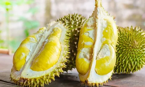 Sầu riêng có thể mang lại nhiều lợi ích cho sức khỏe