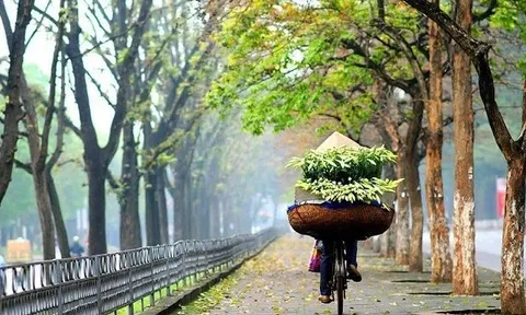 Dự báo thời tiết ngày 15/6/2024: Hà Nội ngày nắng nóng, chiều tối mưa to