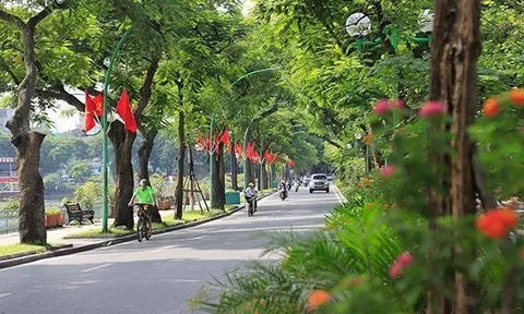 Dự báo thời tiết ngày 23/6/2024: Bắc Bộ mưa rào và dông rải rác