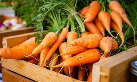 Top 10 thực phẩm tốt cho mắt