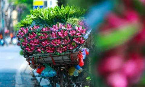 Dự báo thời tiết ngày 24/6/2024: Hà Nội mưa dông, trời mát ngày đầu tuần