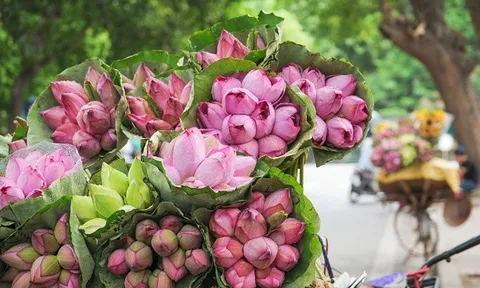 Dự báo thời tiết ngày 26/6/2024: Hà Nội mưa to, trời mát