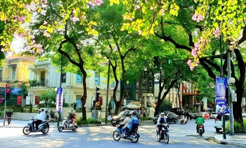 Dự báo thời tiết ngày 5/7/2024: Hà Nội sáng mưa rào, ngày nắng