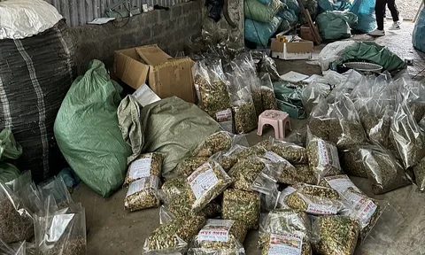 Hà Nội: Khởi tố vụ án sản xuất, buôn bán thuốc nam giả