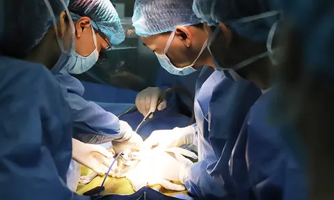 Thực hiện thành công ca ghép gan cho bé gái mắc hội chứng rất hiếm gặp