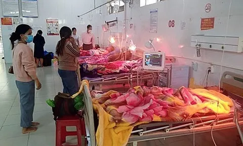Đắk Nông: 6 người đi làm rẫy ăn nhầm nấm độc phải nhập viện cấp cứu