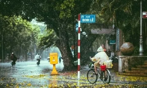 Dự báo thời tiết ngày 30/7/2024: Bắc Bộ mưa to